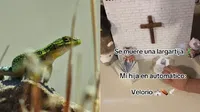 Niña organiza funeral completo para una lagartija y enternece a millones en redes sociales