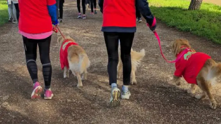 ¡Habrá carrera de perros en CDMX! Checa cuándo, dónde y cuáles son los premios