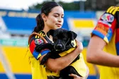 América y Tijuana celebraron el día del perro con cachorros en el protocolo de inicio de su partido