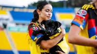 América y Tijuana celebraron el día del perro con cachorros en el protocolo de inicio de su partido