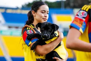América y Tijuana celebraron el día del perro con cachorros en el protocolo de inicio de su partido