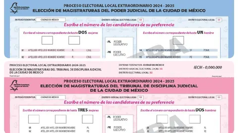 ¿Cuántas boletas me darán el 1 de junio? Así funciona el voto por entidad