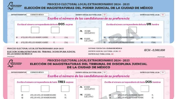 ¿Cuántas boletas me darán el 1 de junio? Así funciona el voto por entidad