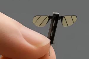 China revela microdron espía del tamaño de un mosquito: nueva arma furtiva