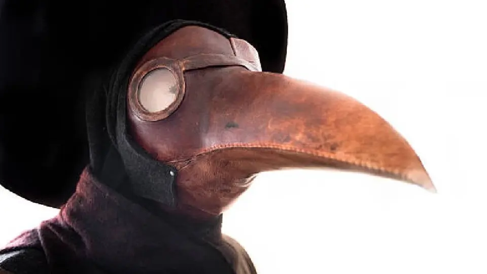 Confirman muerte por peste bubónica en Arizona: ¿hay riesgo de contagio?