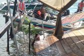 VIDEO: Cae muelle de restaurante en Tequesquitengo; 30 personas cayeron al agua