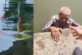 VIDEO: Rescatan a hombre de la tercera edad a punto de ser atacado por cocodrilo