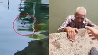 VIDEO: Rescatan a hombre de la tercera edad a punto de ser atacado por cocodrilo