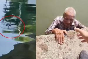 VIDEO: Rescatan a hombre de la tercera edad a punto de ser atacado por cocodrilo