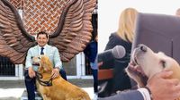 Perro del gobernador de Puebla tiene cargo oficial, programa de TV y habla en conferencias
