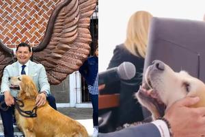 Perro del gobernador de Puebla tiene cargo oficial, programa de TV y habla en conferencias