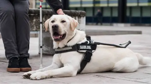 Metro CDMX: Denuncian discriminación por negarle acceso a persona ciega con su perro guía