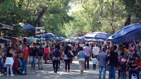 Bosque de Chapultepec quedará libre de plásticos de un solo uso y chatarra