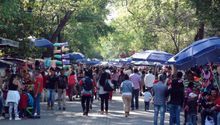 Bosque de Chapultepec quedará libre de plásticos de un solo uso y chatarra