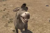 ¡Confirmado! Burro de Shrek tendrá su película en solitario y ya hay fecha estimada de estreno