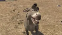 ¡Confirmado! Burro de Shrek tendrá su película en solitario y ya hay fecha estimada de estreno