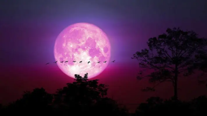 Luna llena de junio: Después de 20 años habrá una ‘major lunar standstill’