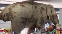 Elefante hambriento irrumpe en tienda en Tailandia y se lleva galletas y un sándwich