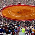Plaza México suspende corridas de toros; ve "inviable" realizar espectáculo sin violencia