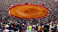 Plaza México suspende corridas de toros; ve "inviable" realizar espectáculo sin violencia