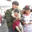 Toluca vs América: Gobierno de Edomex aprovecha Final del Clausura 2025 para impulsar adopción de animales