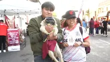 Toluca vs América: Gobierno de Edomex aprovecha Final del Clausura 2025 para impulsar adopción de animales
