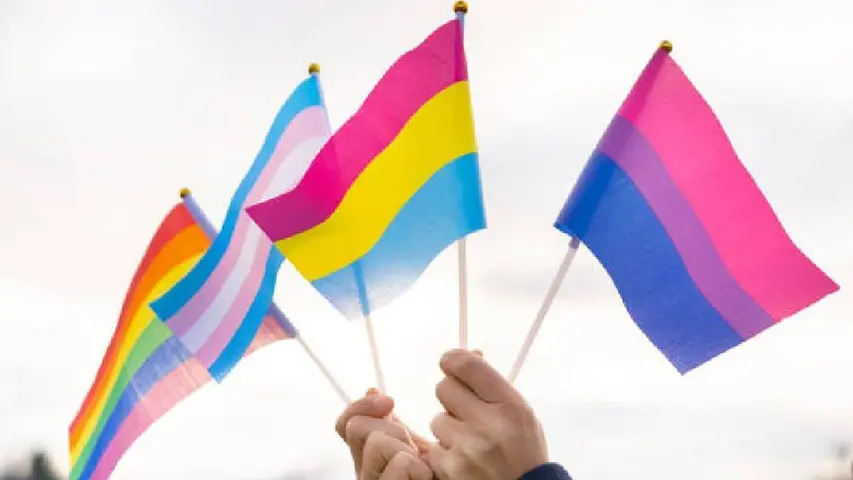 Más allá del arcoíris el colectivo LGBT+ se compone de muchas identidades, cada una representada con su propia bandera. / iStock