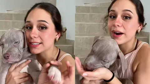 VIDEO: Aerolínea entrega cachorro que no era suyo y se vuelve viral en redes