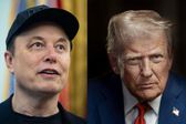 ¿Cuáles son las consecuencias de la pelea entre Donald Trump y Elon Musk?