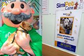 Veterinaria del Dr. Simi ofrece consultas GRATIS a perros rescatados
