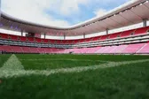 Presentan avance en la renovación del césped del Estadio Akron previo a Mundial 2026