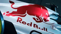 Expiloto de Red Bull, hospitalizado tras sufrir accidente en moto luego de su adiós a la F1