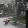 Monzón mexicano dejará lluvias hoy domingo 6 de julio en varios estados