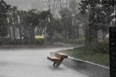 Monzón mexicano dejará lluvias hoy domingo 6 de julio en varios estados
