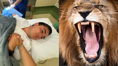 ¡Alcalde de Nuevo León es mordido por un LEÓN! Aquí te contamos los detalles