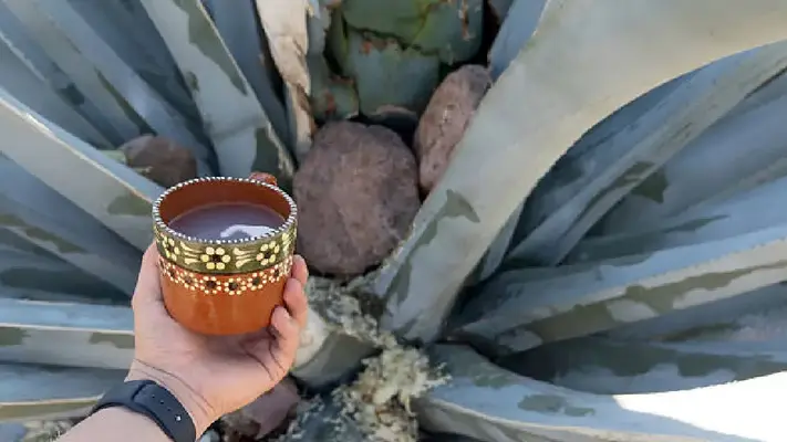 Pulquefest 2025 regresa a CDMX: Habrá curados, barbacoa y música en vivo