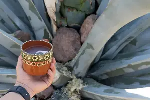 Pulquefest 2025 regresa a CDMX: Habrá curados, barbacoa y música en vivo