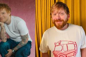Ed Sheeran y Rupert Grint recrean el meme de Spider‑Man y enloquecen a sus fans