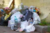 Hasta 220 mil pesos de multa por tirar basura en la calle, a partir de agosto