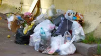 Hasta 220 mil pesos de multa por tirar basura en la calle, a partir de agosto