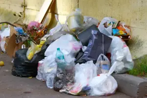 Hasta 220 mil pesos de multa por tirar basura en la calle, a partir de agosto