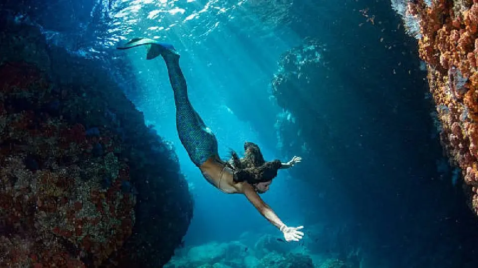 Curso de Sirenas en CDMX: Te enseñarán a nadar con cola como en los cuentos