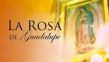 Muere a los 38 años reconocido actor de La Rosa de Guadalupe y Rosario Tijeras