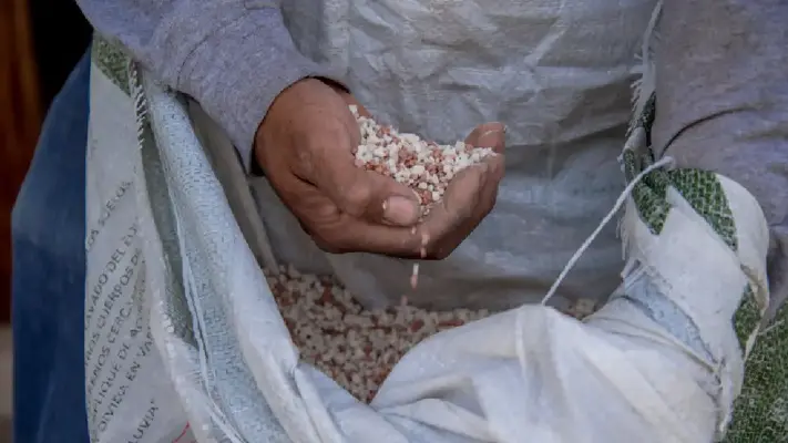¿Cómo registrarse al programa Fertilizantes para el Bienestar 2025?