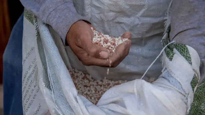 ¿Cómo registrarse al programa Fertilizantes para el Bienestar 2025?
