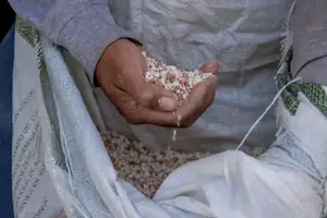 ¿Cómo registrarse al programa Fertilizantes para el Bienestar 2025?