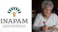 Credencial INAPAM: quiénes pueden registrarse en agosto para recibir apoyo de hasta 3 mil pesos bimestrales