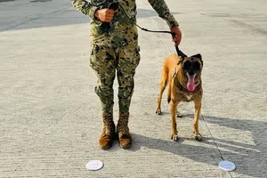 Generación FIFA: México implementará perros entrenados como seguridad para el Mundial 2026