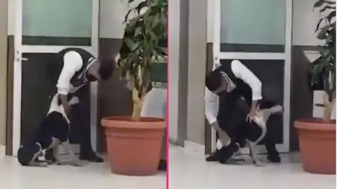 VIDEO: Conmueve guardia del IMSS por rescatar a perrito de las fuertes lluvias