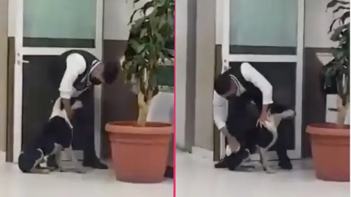 VIDEO: Conmueve guardia del IMSS por rescatar a perrito de las fuertes lluvias
